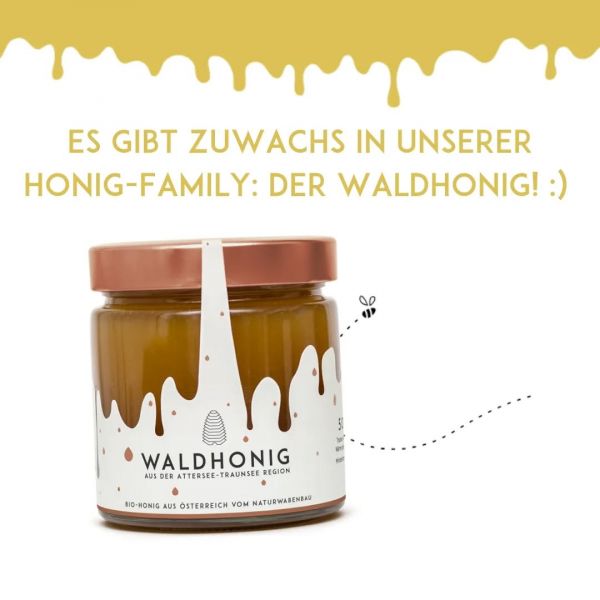 🐝🌲 In diesem Glas Waldhonig steckt der Geschmack eines seltenen Naturphänomens: Nur alle 10-15 Jahre...